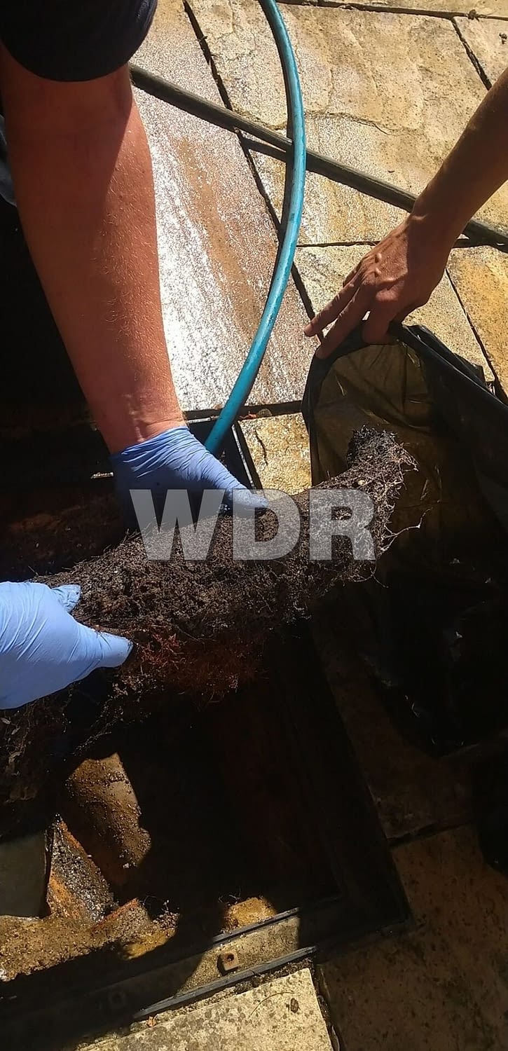 rootball blocked drain