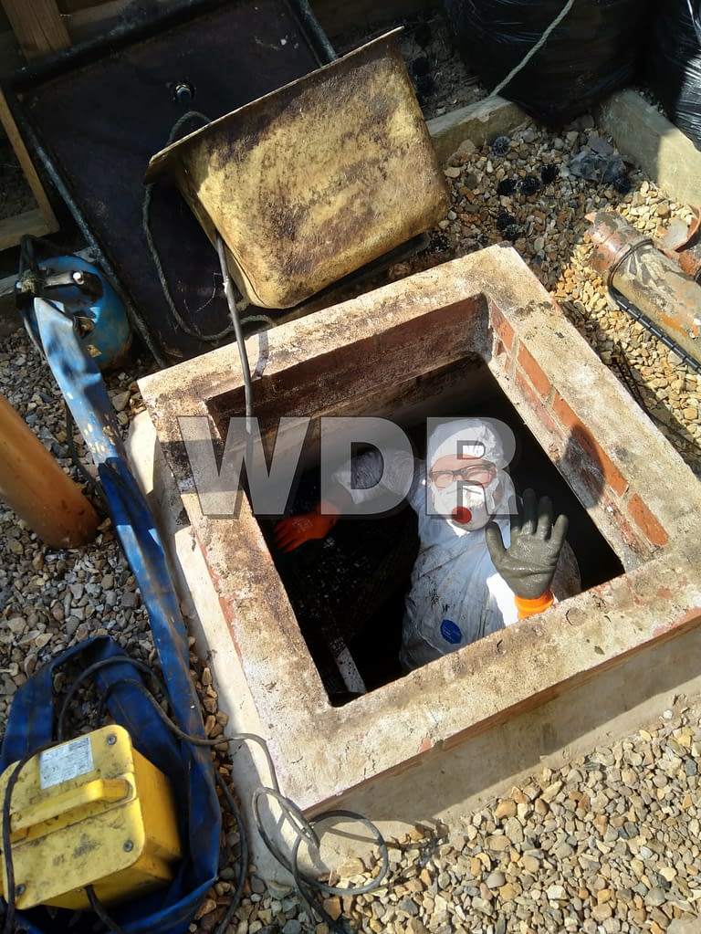 drain inspection