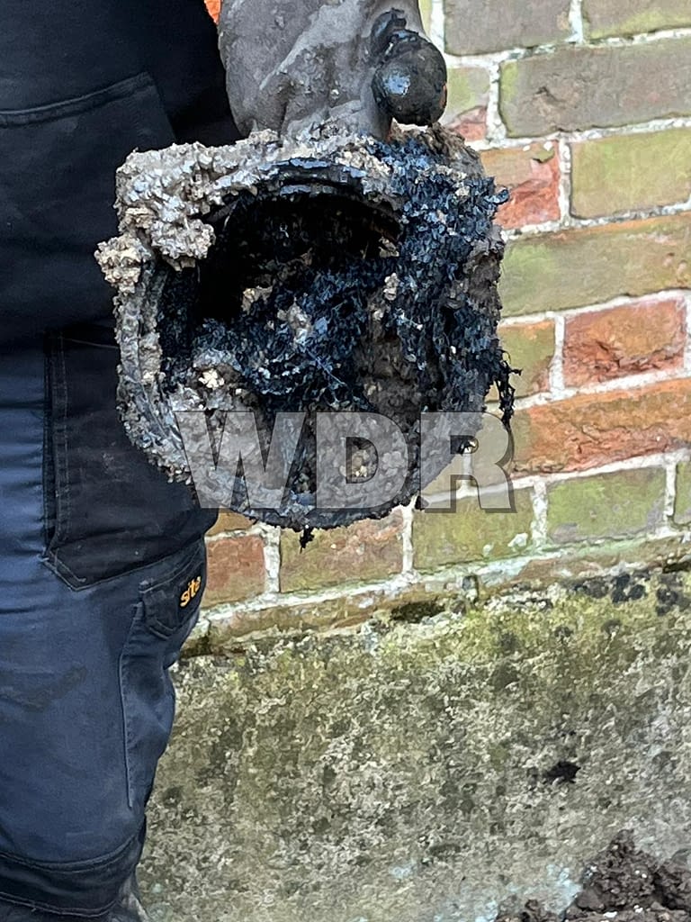 Root damage in pipework